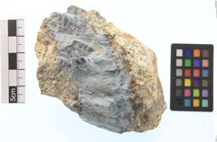 Foto von Quarz (Blauquarz) (NHMW-MIN-Ag391)